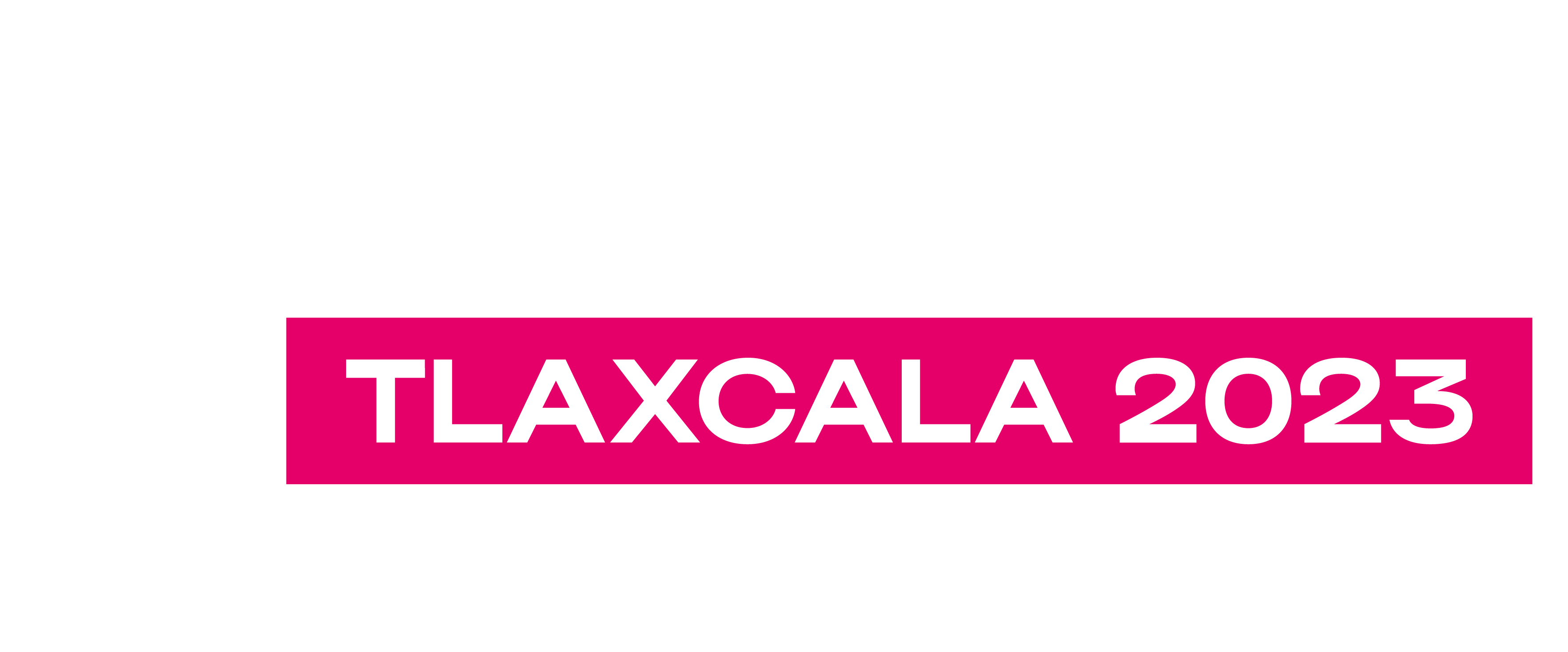 Beach Volleyball World Championships Tlaxcala 2023 - Competition